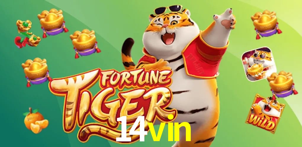Sports Statistics 14vin
